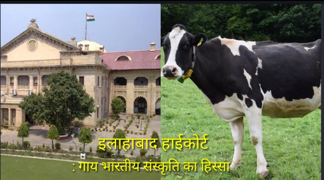 गाय भारत की संस्कृति का अभिन्न अंग है, इसे राष्ट्रीय पशु घोषित किया जाना चाहिए – इलाहाबाद हाईकोर्ट