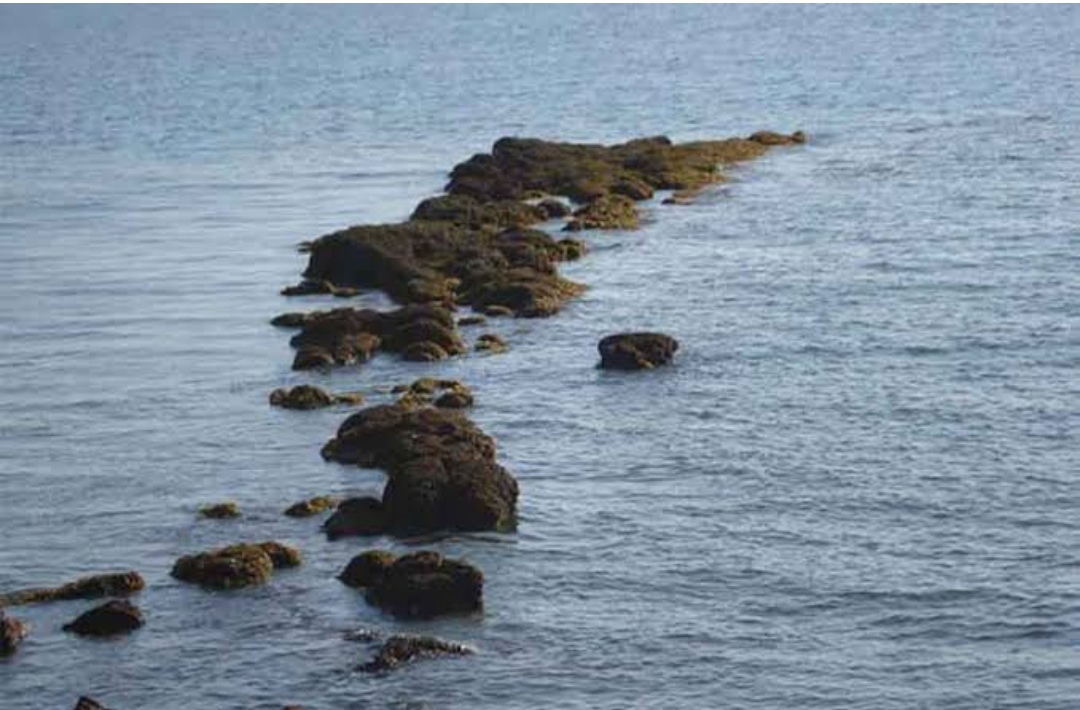 Central Government says Ram Setu will be declared National Heritage