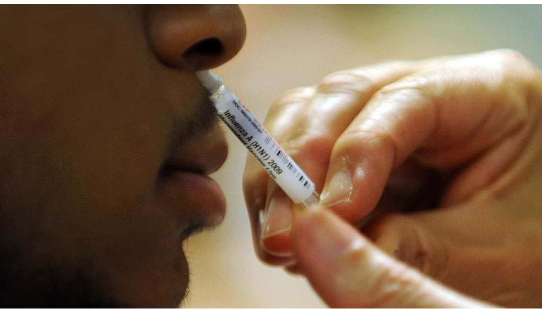 Coronavirus Nasal Vacine: भारत बायोटेक गणतंत्र दिवस पर वैक्सीन करेगी लॉन्च , जानिए नेजल वैक्सीन की कीमत