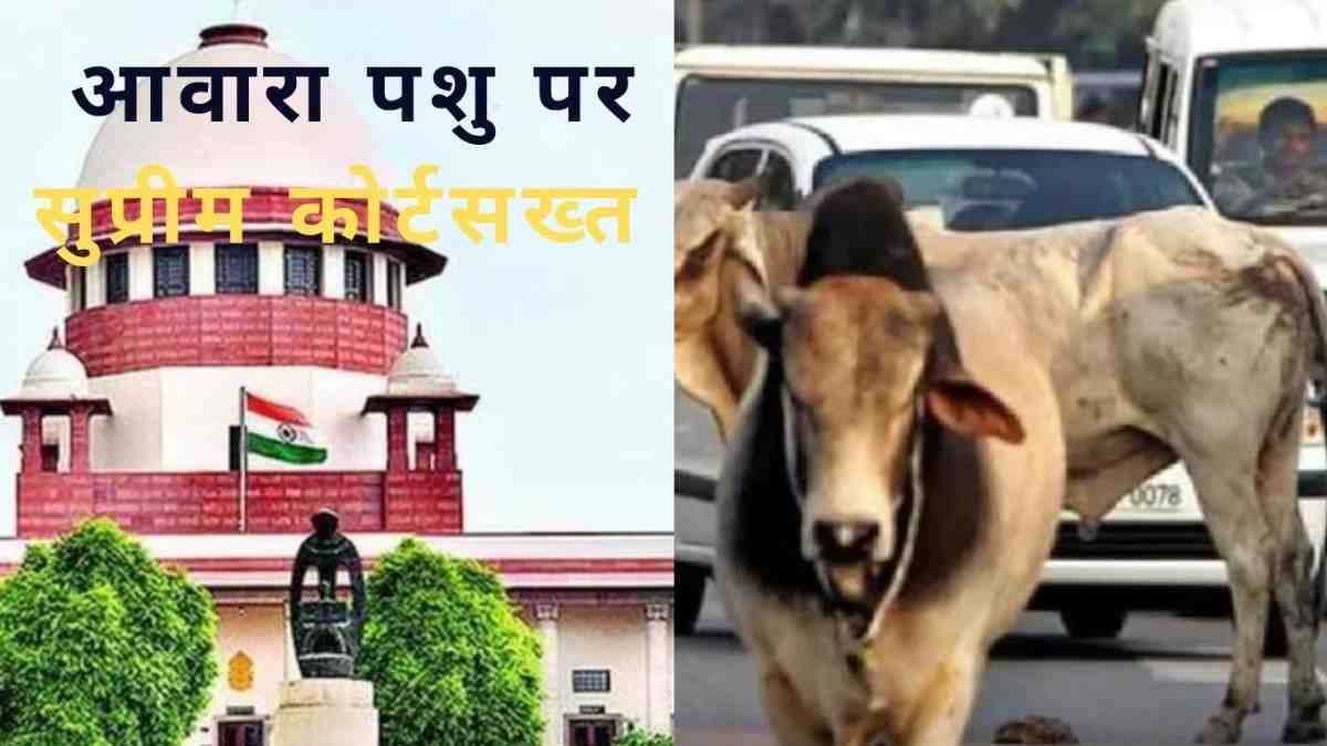 SC Order to remove street animals on highways and public places